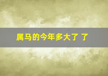 属马的今年多大了 了